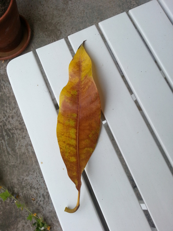 2014-08-05 07.15.17