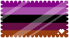 vegasexual (AVPD EXCLUSIVE)