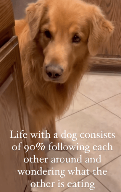image-91.png