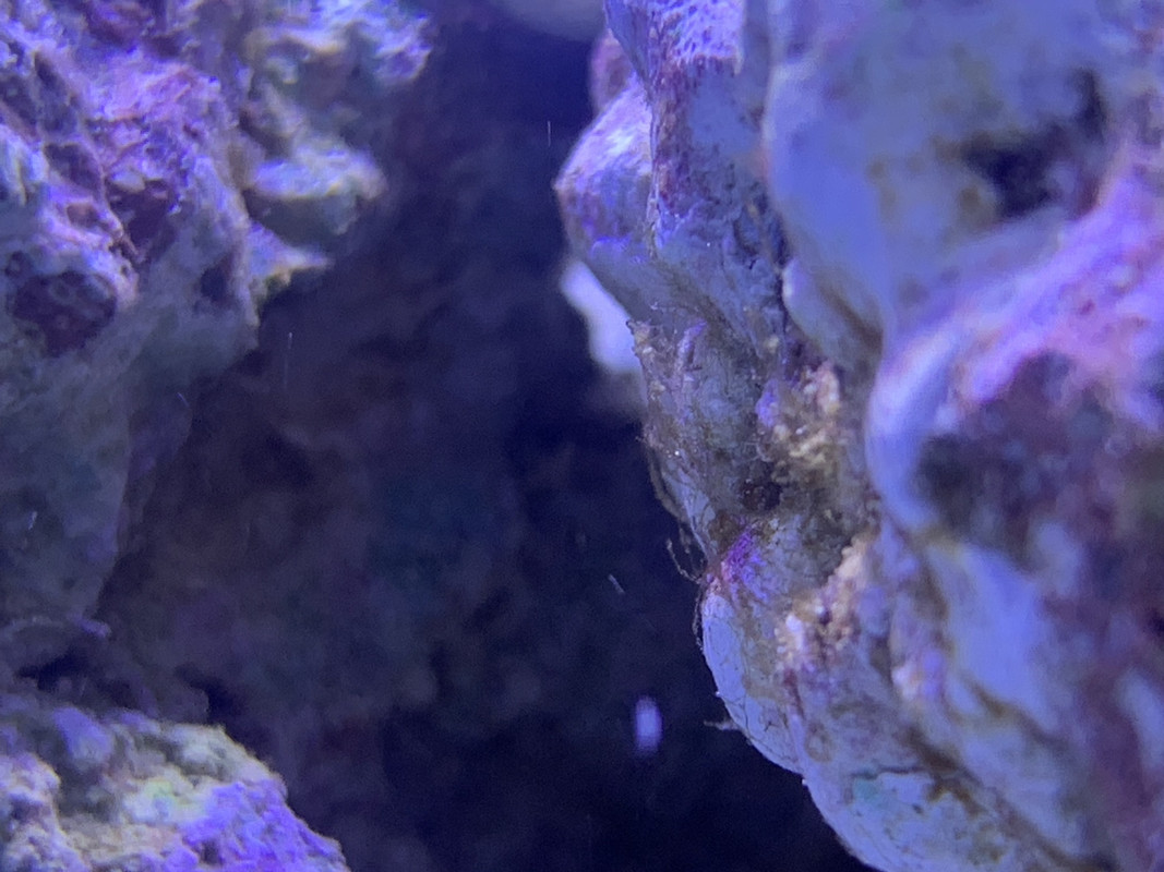 11037C40-993B-4A92-8257-571FD50794BA