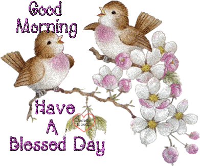 Good-morning-birds.png