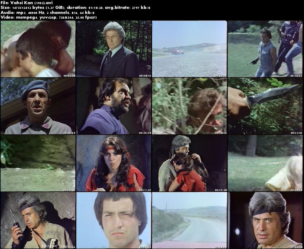 Vahsi Kan (1983)