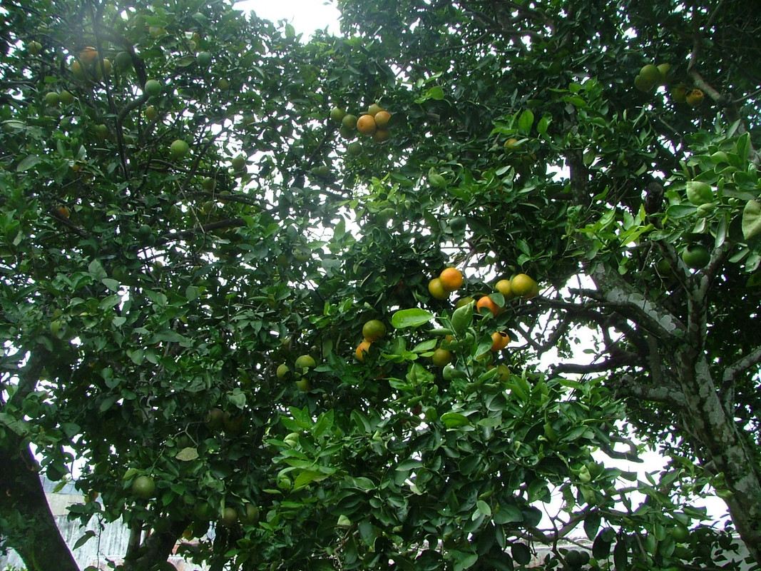 DSCF9134