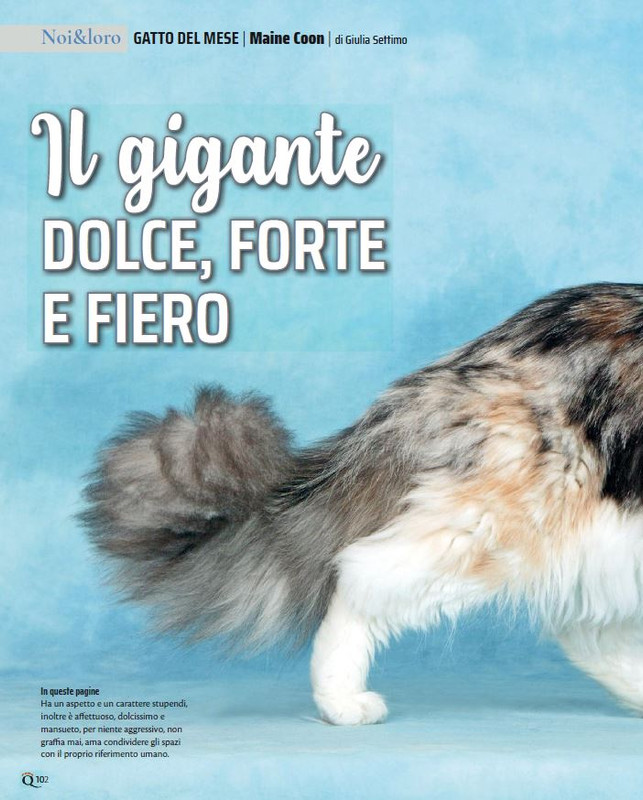 QuattroZampe Set 2023 (11)