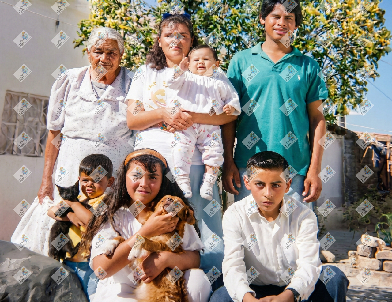 Image o7qhq5o7qhq5o7qh