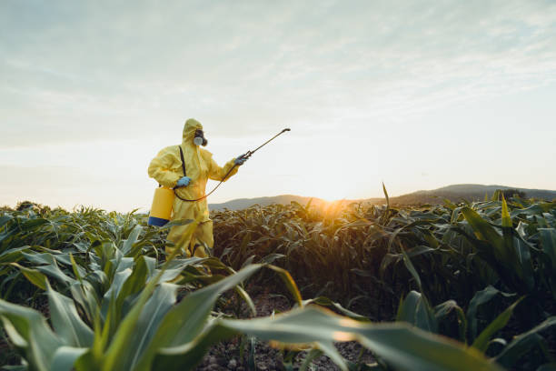 Premium Pest Shield Inspection