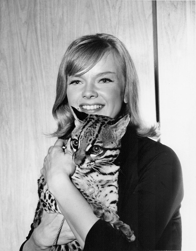 anne_francis_a96