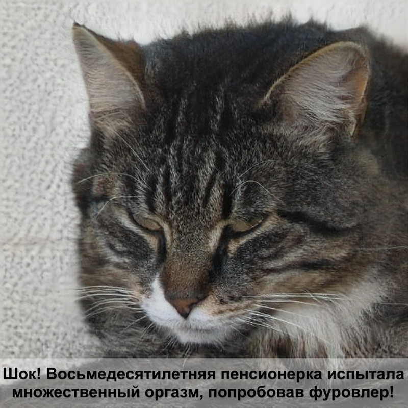 страшная кошка