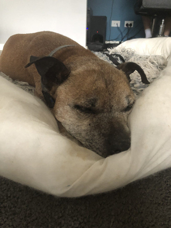 6CAB574B-97C8-4E86-A12E-FE74D5C54B96