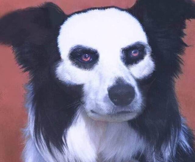 picdump-kw37-2023-004.jpg
