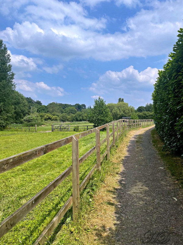 woodland-pasture-HD.jpg