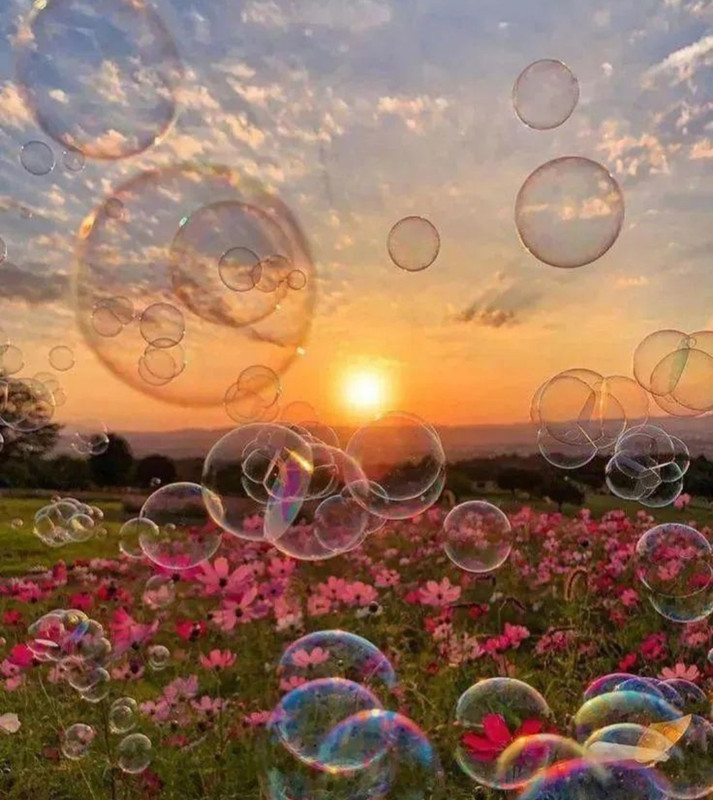 Screenshot_20240423_215629_Threads