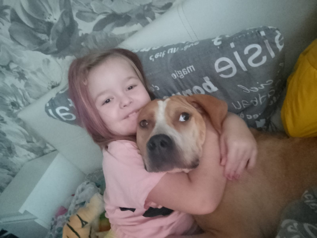 BB92405D-E504-4082-805C-7ABE8C680AAD