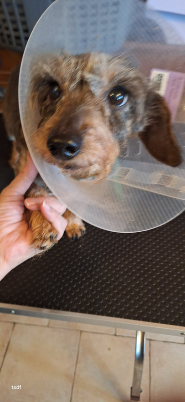 [Image: 20250309-110811.jpg]