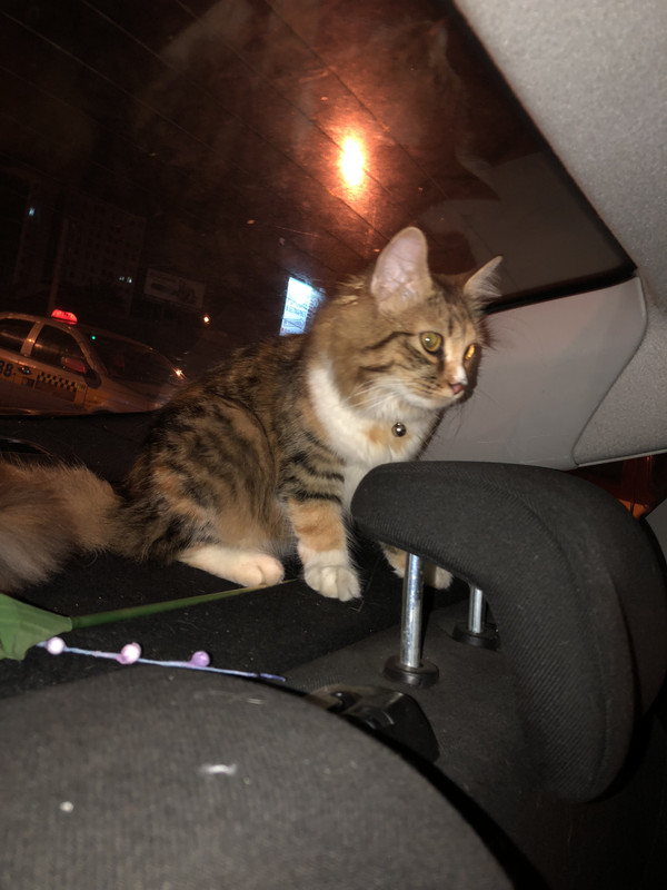 BF1E8949-9E95-4DC9-AB51-57A1789EDCC9