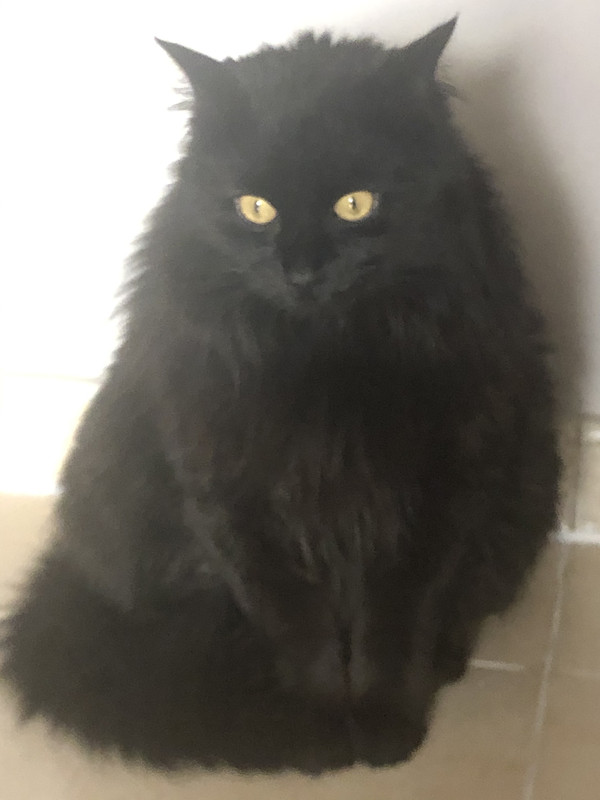 B7F4FD97-35E9-437F-BBE9-A050C0AC894E