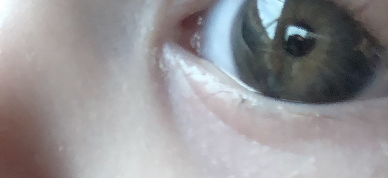 E6406508-DB26-4E01-9640-94D60499E0E3