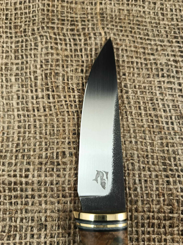 353658156_5842856519148596_5285061427127428685_n