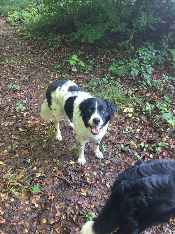 C45CFDF1-2110-40CD-A26E-D28597705A94