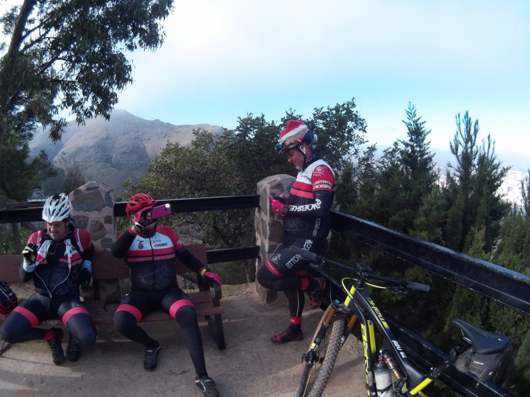 ASNOVESTRE ASNO MAVASA (11)