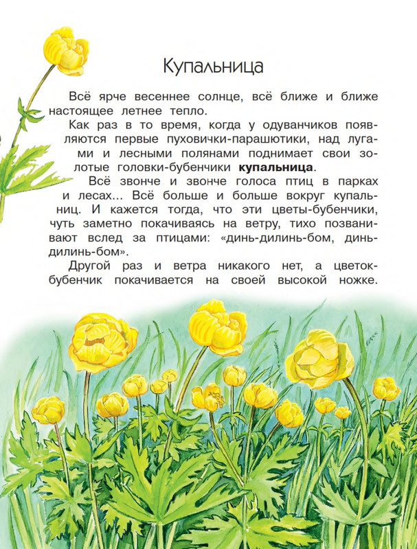 Onegov-Anatolij-Pochemu-kukushka-slozki-lot-page-0013