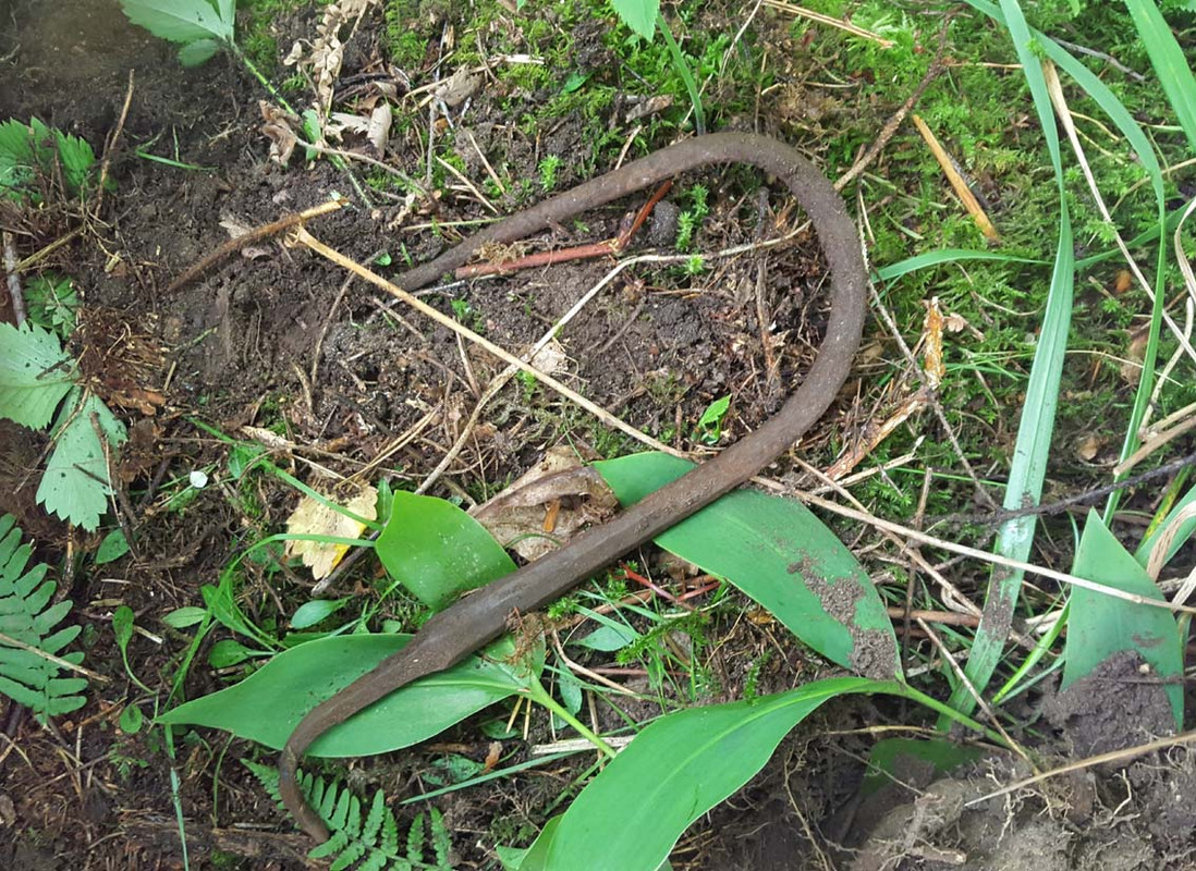 20150718_121208 – kopio (2)