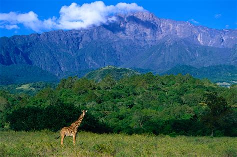 Best places to visit in Arusha