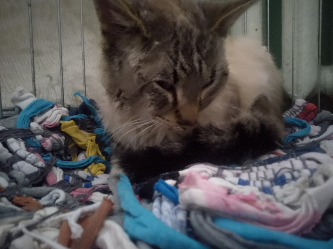 35D37953-130E-461D-A4C8-1CC2118BBFC6