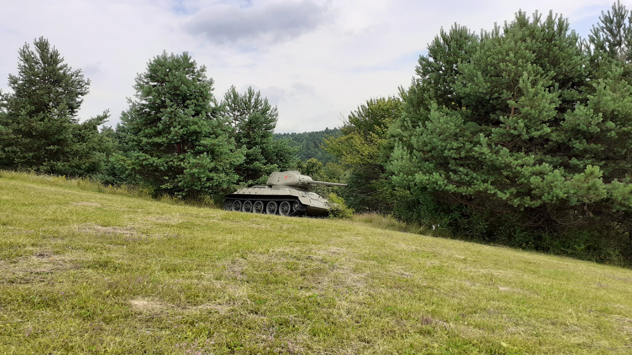 015 - 20200721_122904