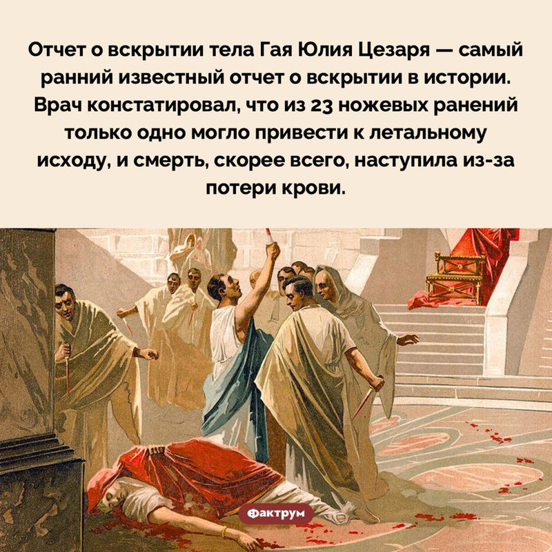 [Изображение: f45ca41625364fc3a61fe9924883db6d.jpg]