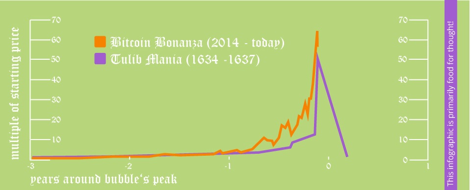 Tulip-Mania.jpg