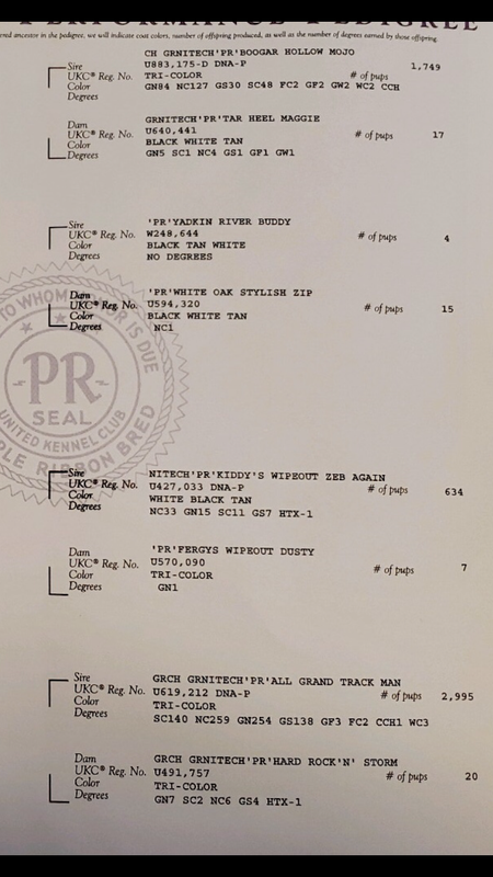 CD92C496-3C86-46D1-8C67-14451E011868