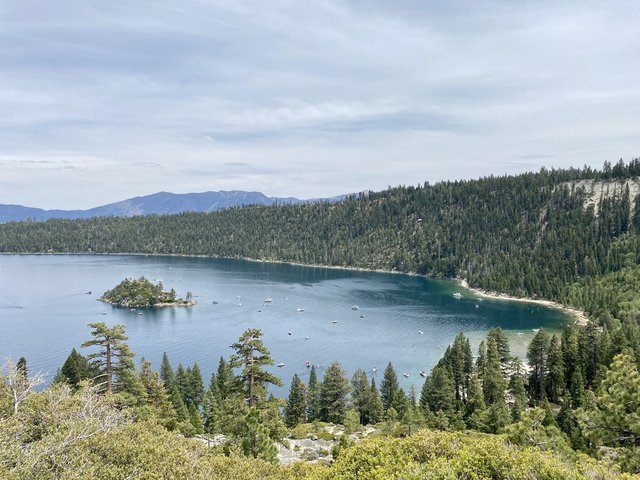 [Image: 9004-BD18-C738-46-C2-95-B0-A0-A13-D663-D16.jpg]