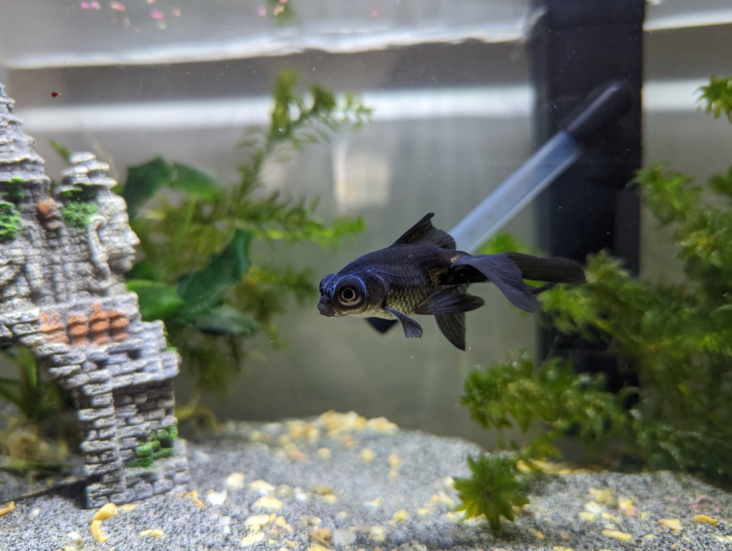 PXL_20240319_122307227