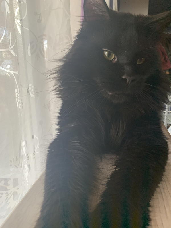 A6AA9DD5-7262-4B71-92D1-919CDF27EE93