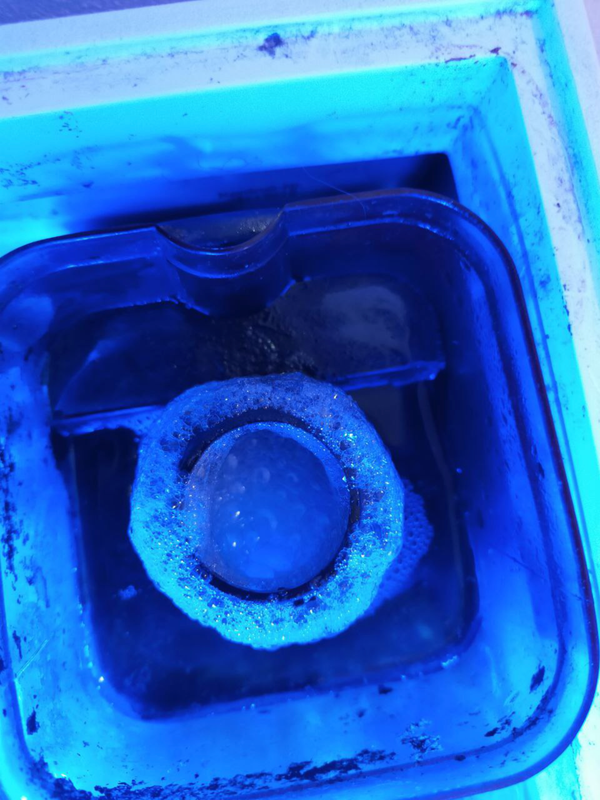 1D95B469-9DCC-4C4C-8F69-41041C64A9C8