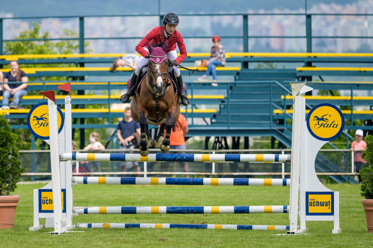 DSC 1984 — Postimages