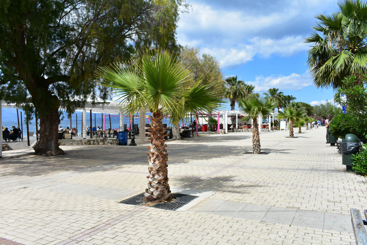 Άγιοι Απόστολοι