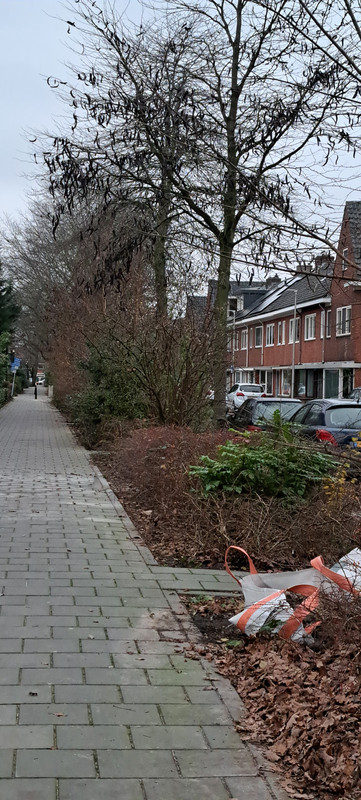 [Image: 20231214-160010.jpg]