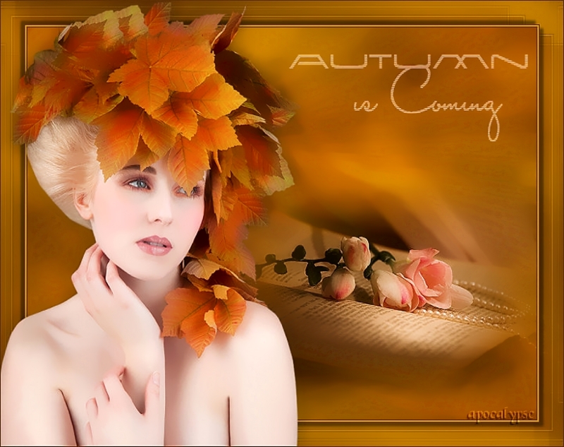 tagautumn-jpg11