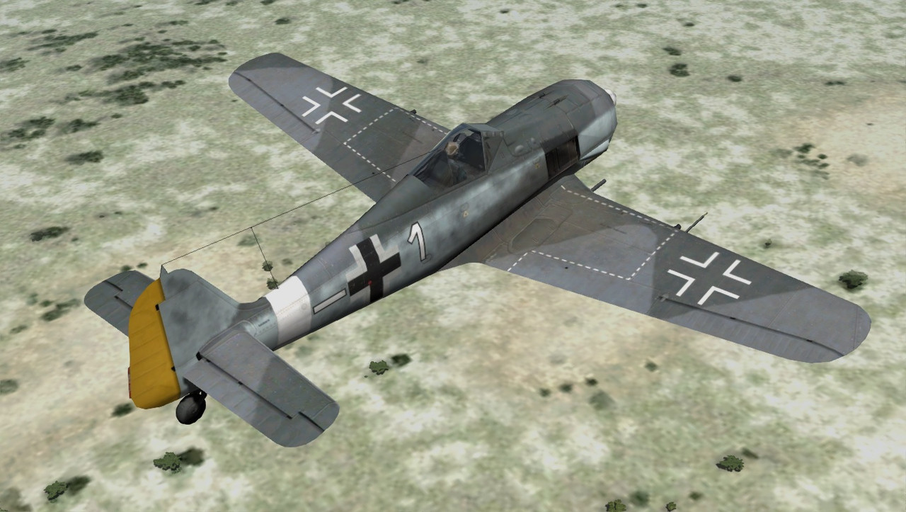 Kurt Bühligen's Fw 190's (A-5 and A-8)