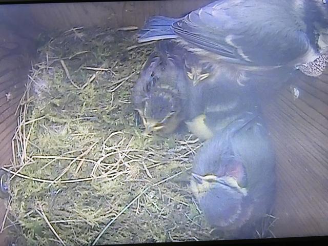 20153A32-0FAB-49B7-BB90-1C9F2EC97775