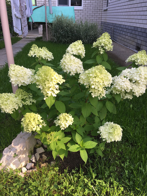 52B81CFD-DB1E-4E7A-A30C-7AB53B5F9B7D