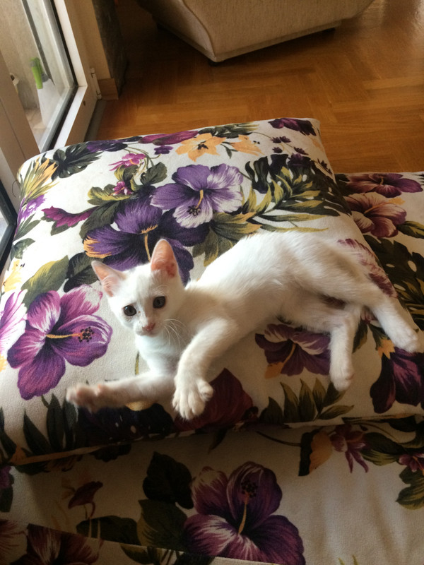 70A4B136-50E7-4D43-9D3F-707BD7639E01