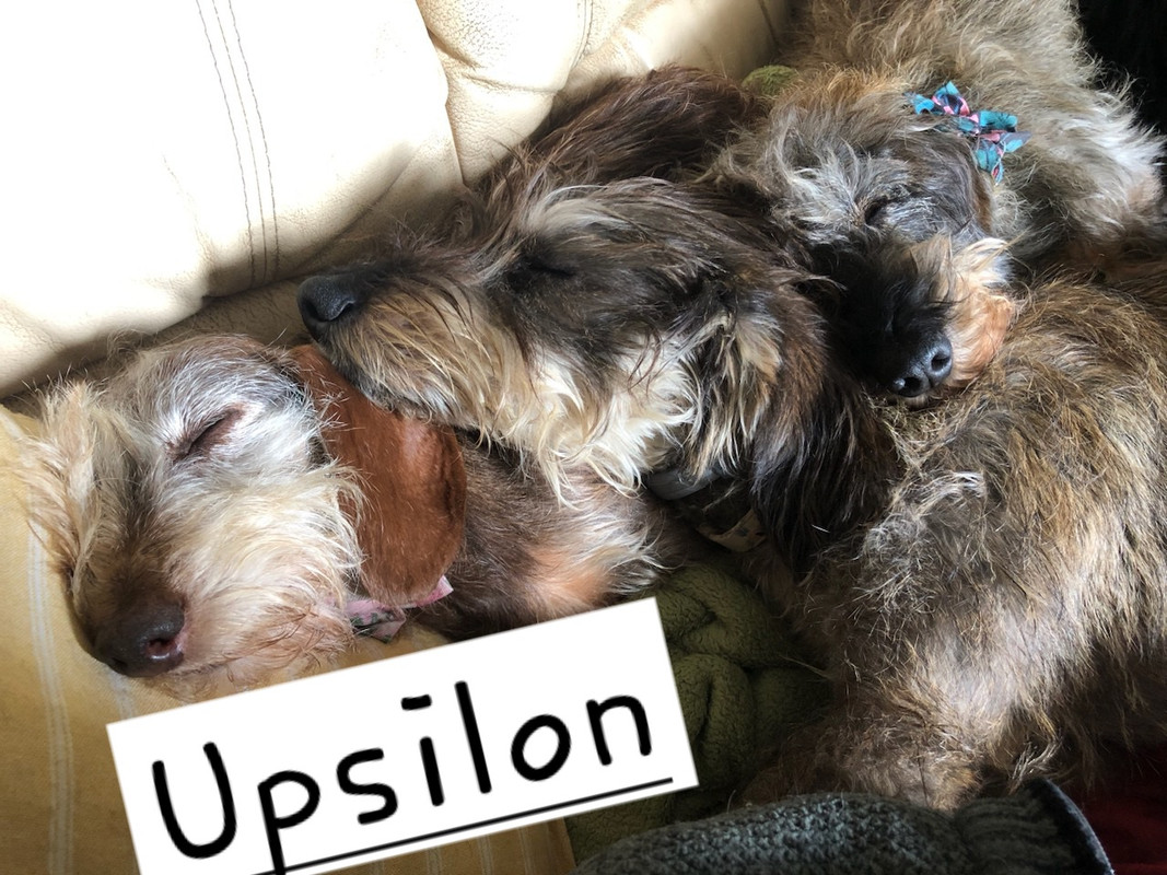 [Image: IMG-20240605-135658.jpg]