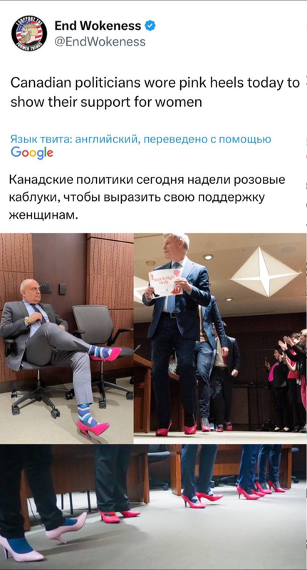 изображение_2023-04-21_131621982