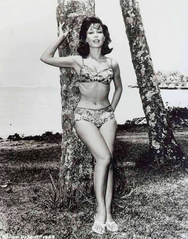 Barbara_Eden_c08