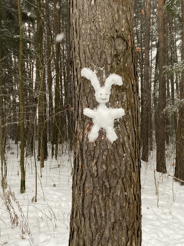 A073F7CF-2D68-46CB-BC5C-3FECD8F95187