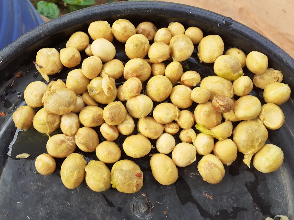 WhatsApp Image 2020-12-08 at 20.44.46 (15)