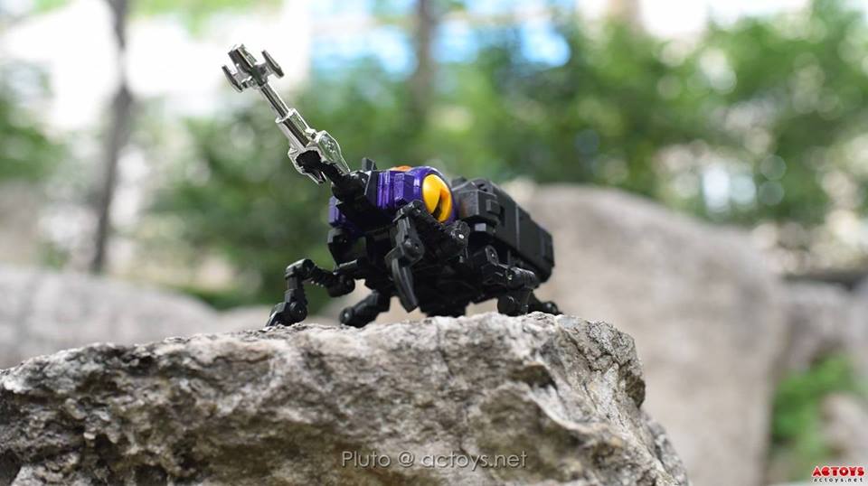 10463048_870623689690708_441376672616174114_n